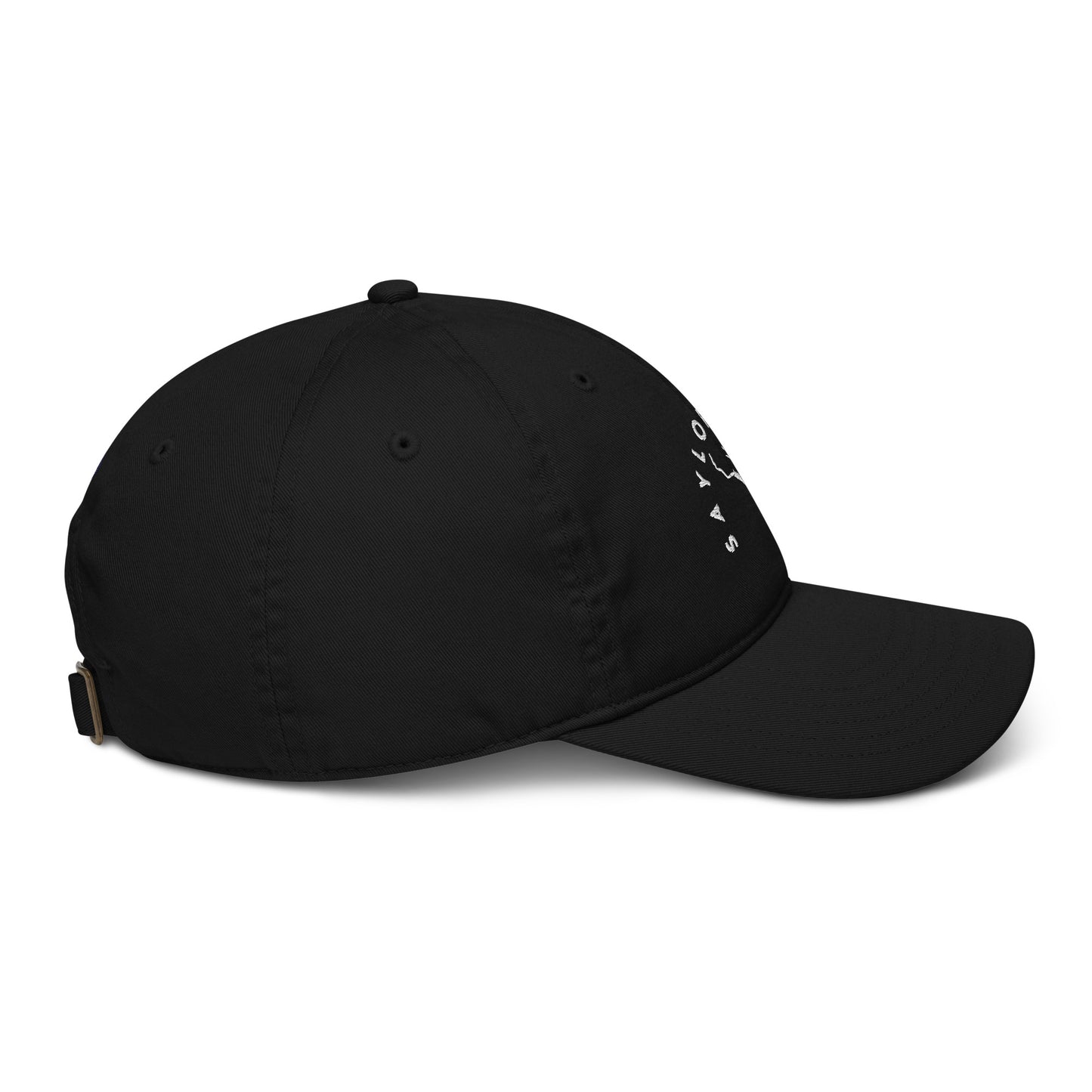 Saylorville Lake Black/White Organic hat