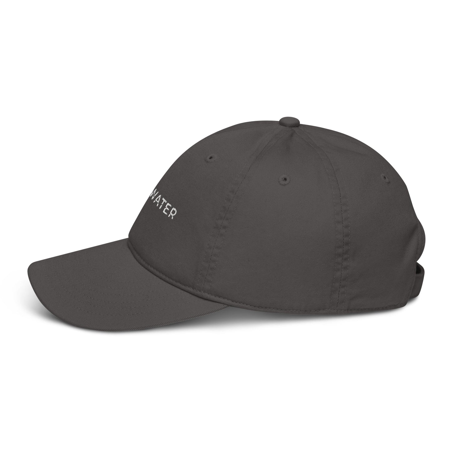 Freshwater Classic Organic hat