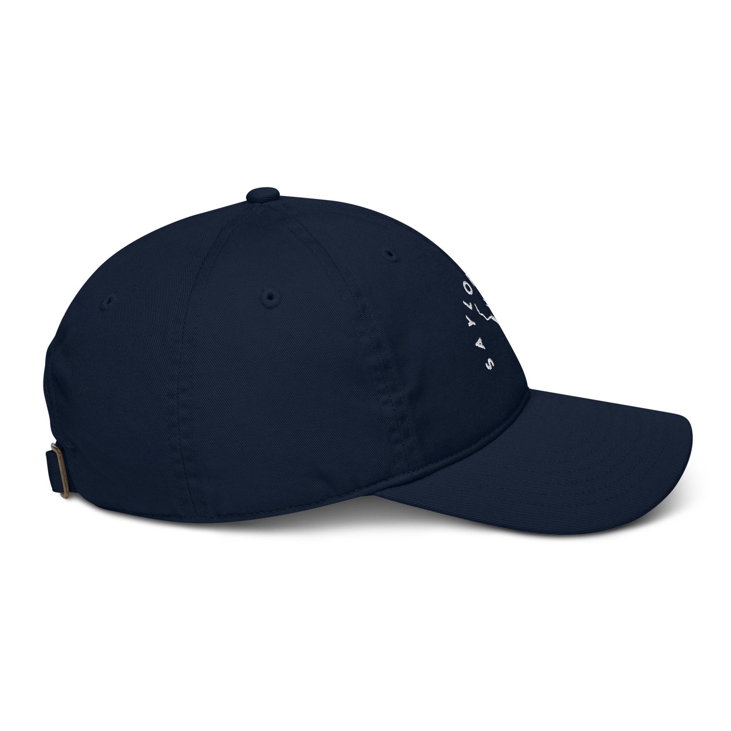 Saylorville Lake Black/White Organic hat