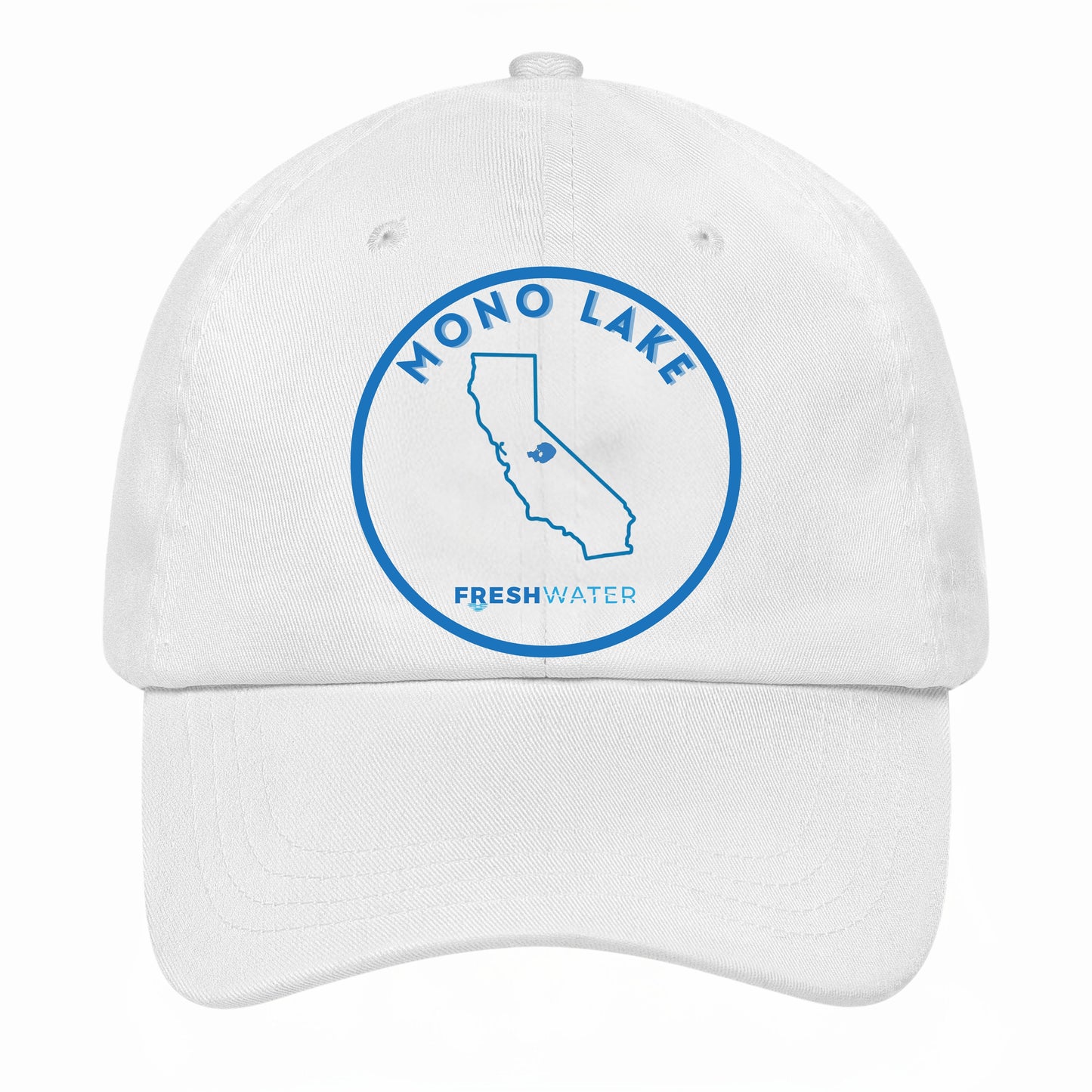 Mono Lake premium Dad hat