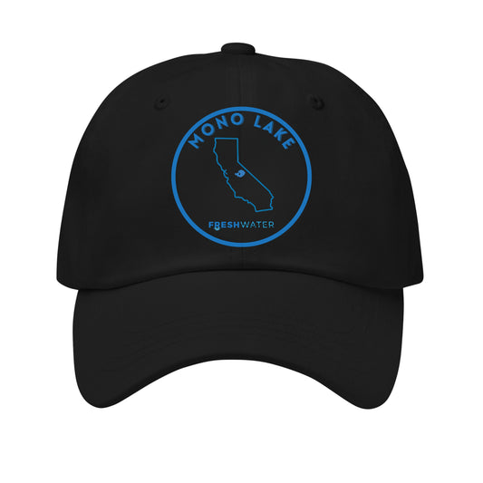 Mono Lake premium Dad hat